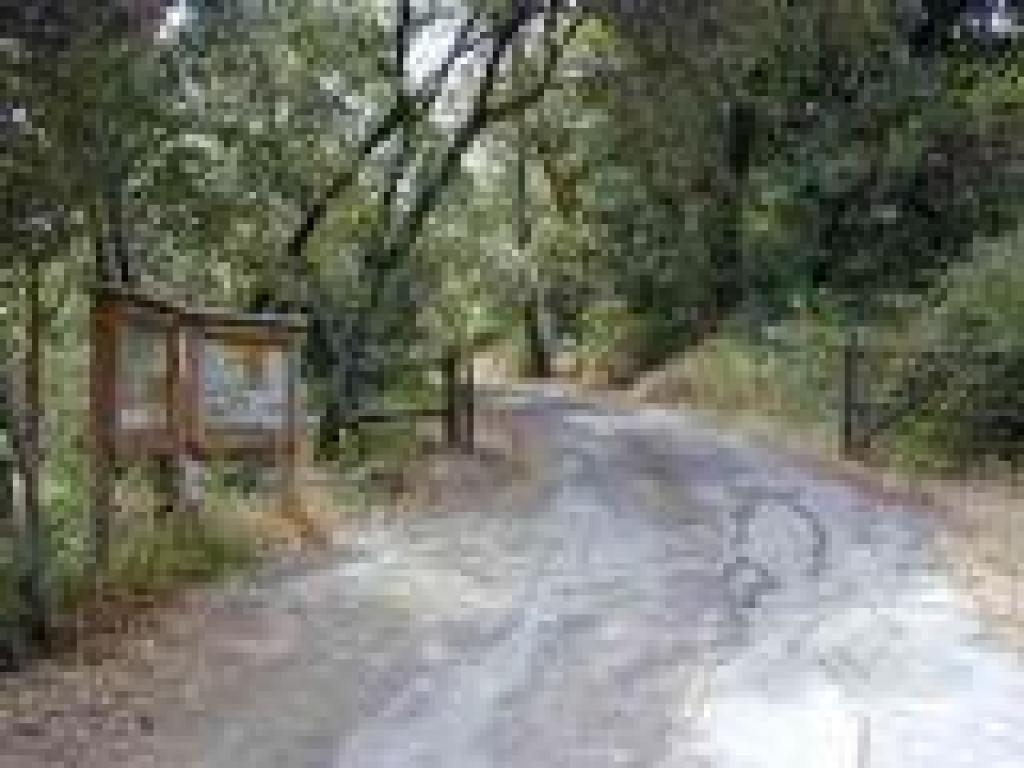 Trail heads left