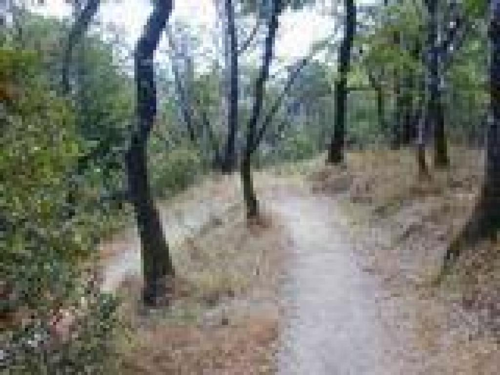Switchback