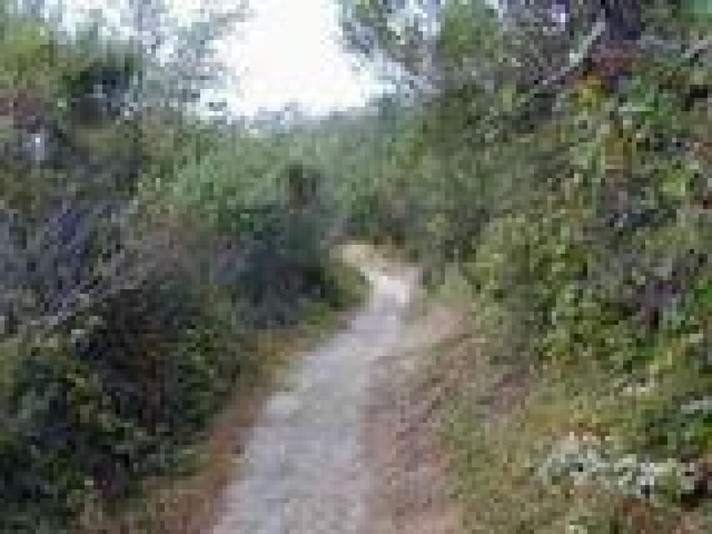 Winding along