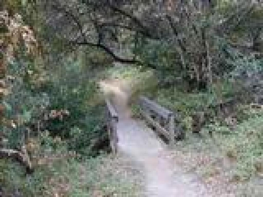 Bridge