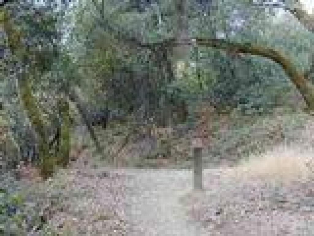 Trail turns left