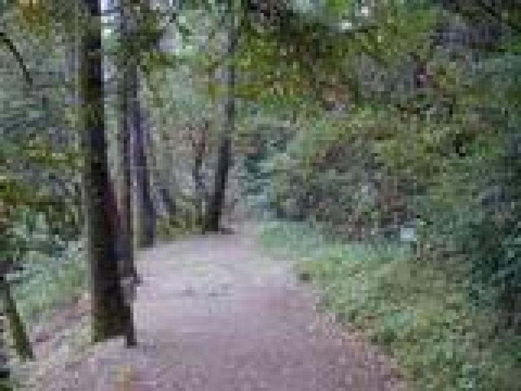 Trail skirts the lake