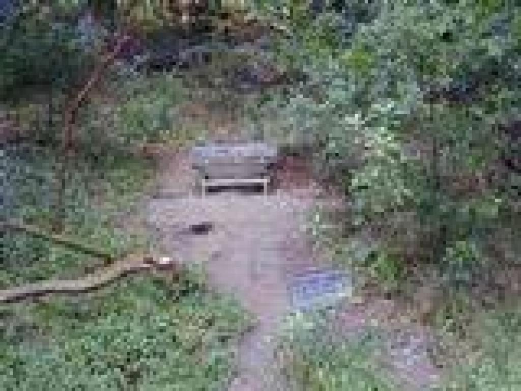 Bench