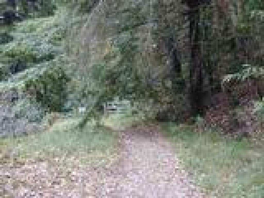 Gate and turn around point