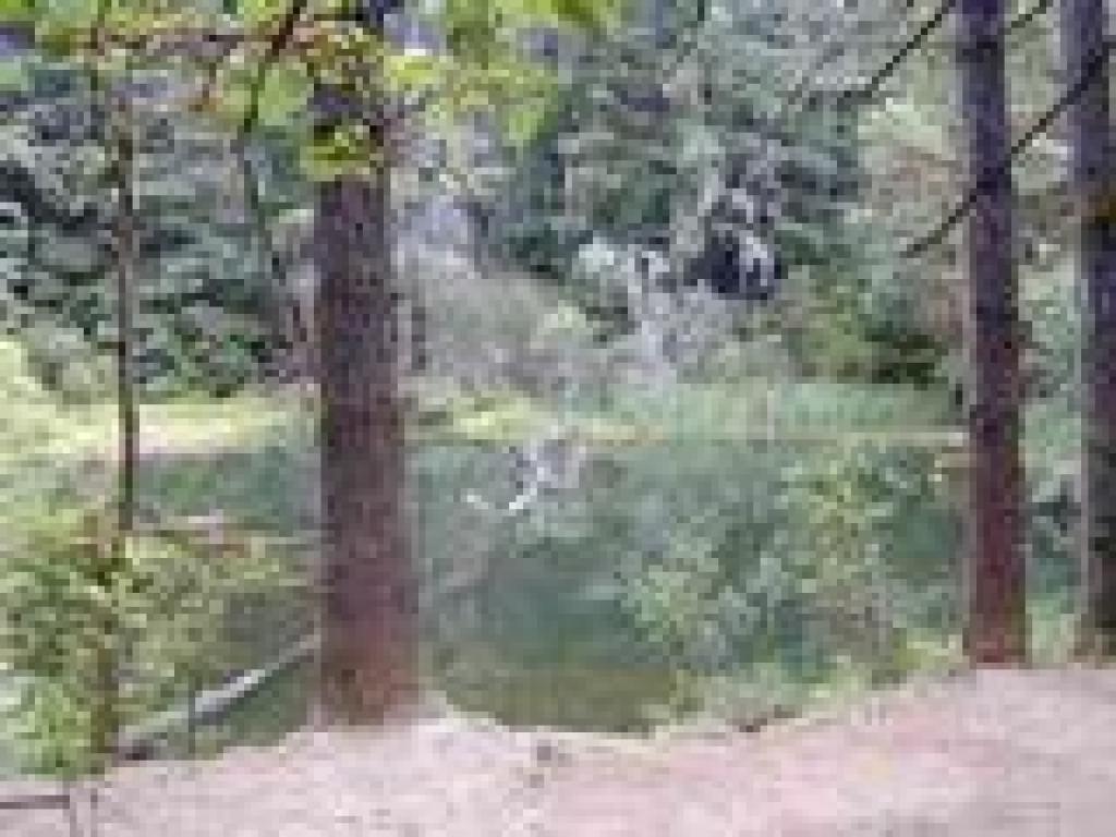 Schilling Lake