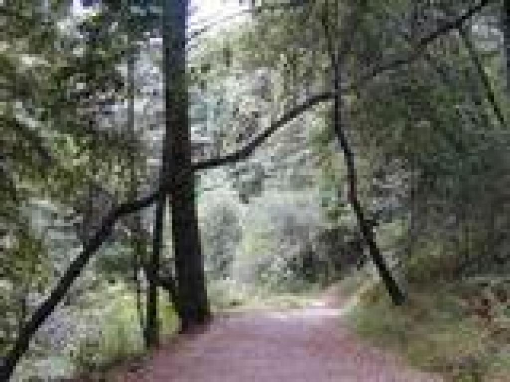 Near the lake
