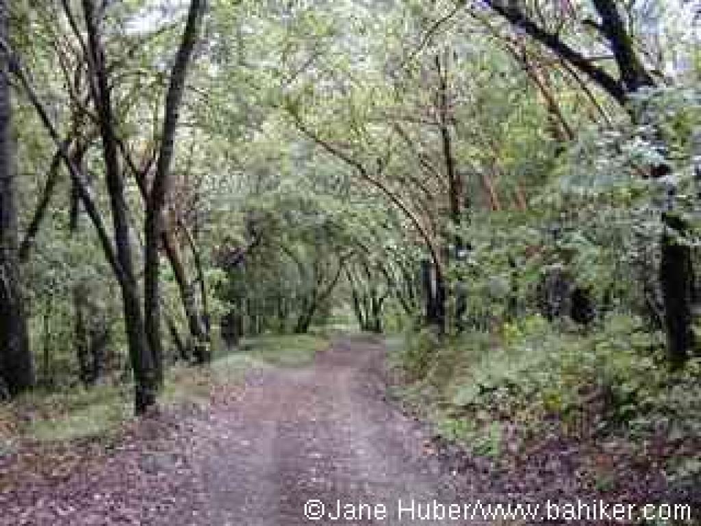 Charcoal Road