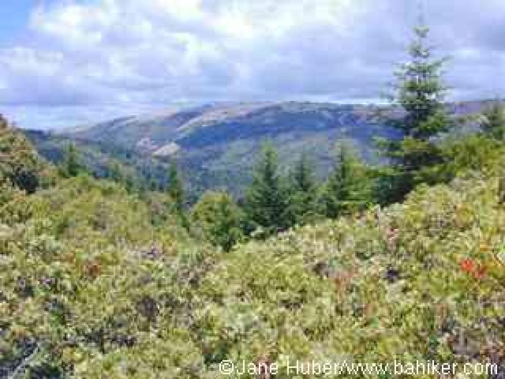 View from Alternate Trail