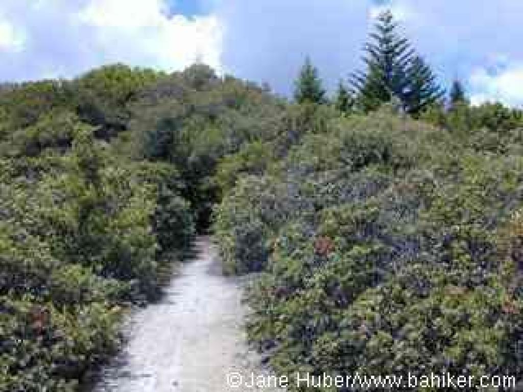 Alternate Trail