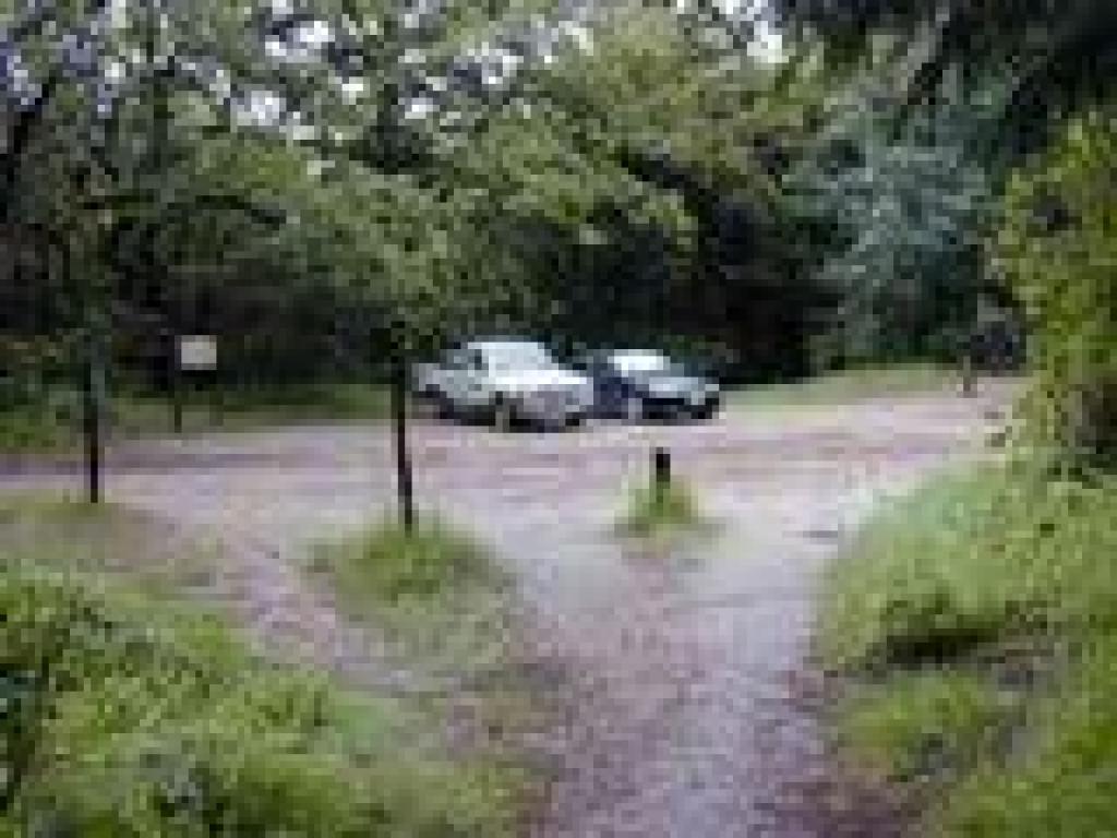 Junction