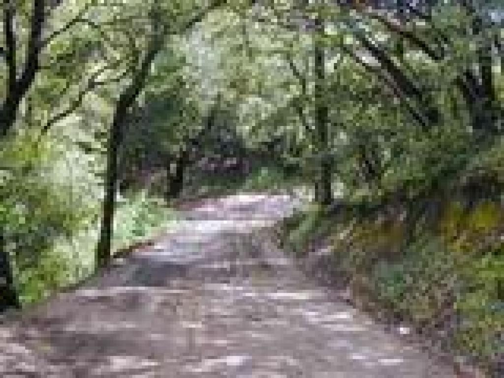 Junction