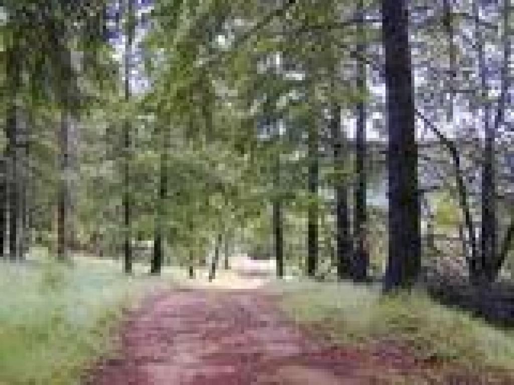 Table Mountain Trail