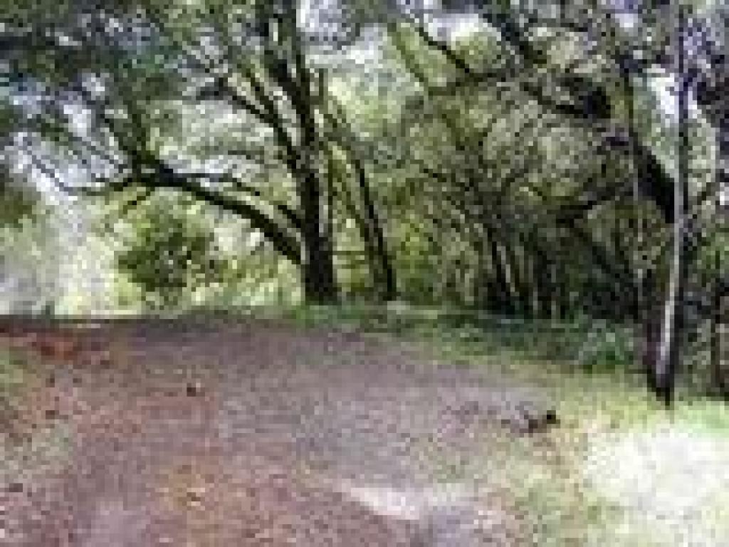 Junction