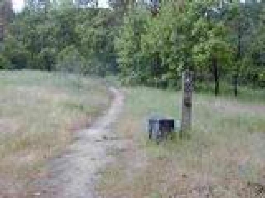 Alternate Trail
