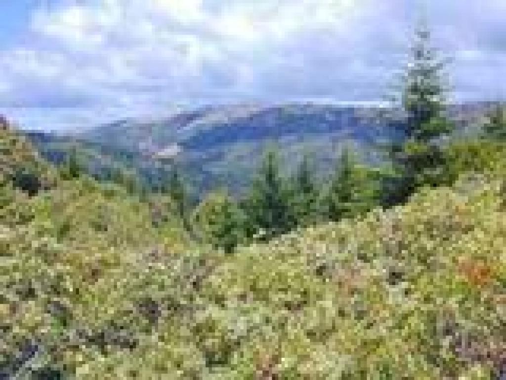 View to Monte Bello Ridge
