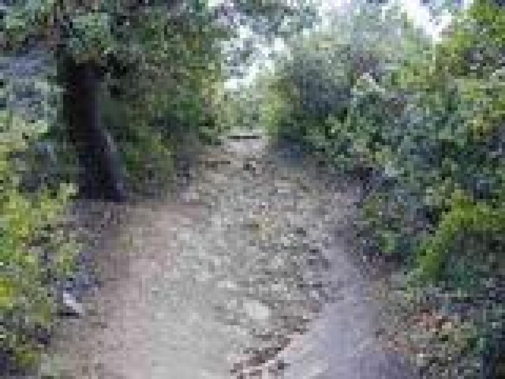 Rocky stretch
