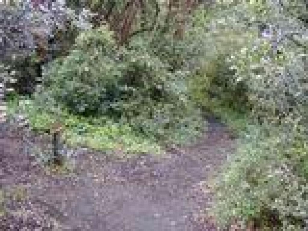 Junction with closed trail