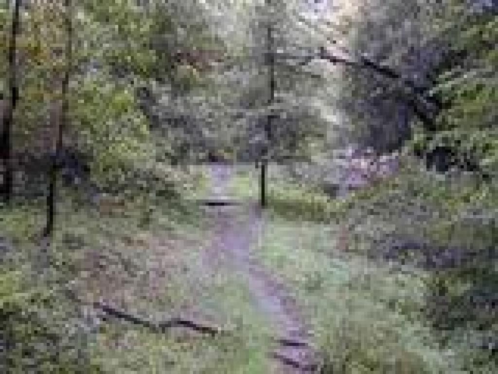 Nearing the end of the trail