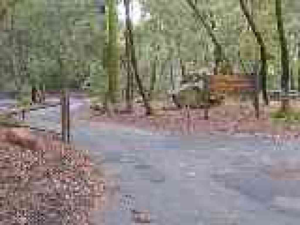 Gate to group picnic area