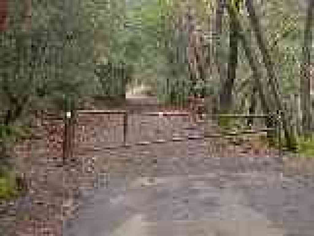Beginning of the trail