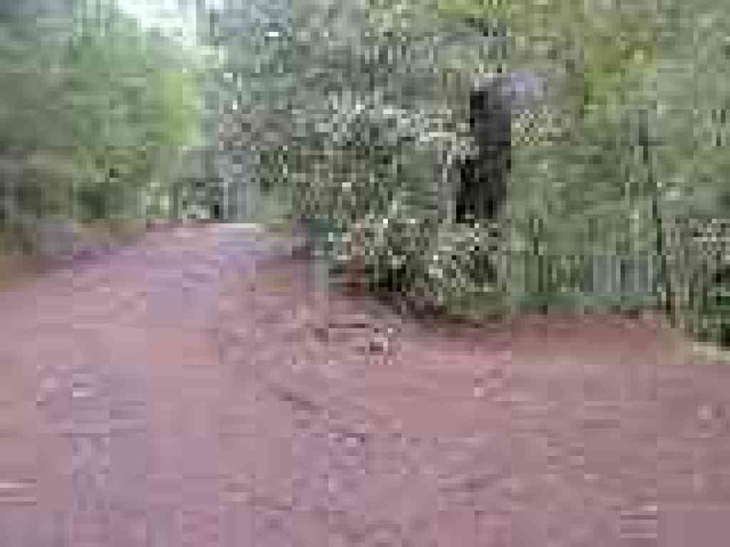 Junction