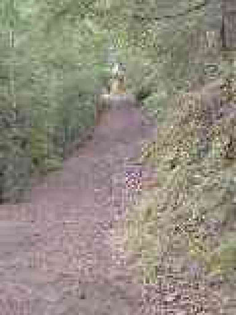 Alec Canyon Trail