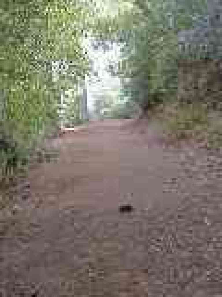 Continuing uphill