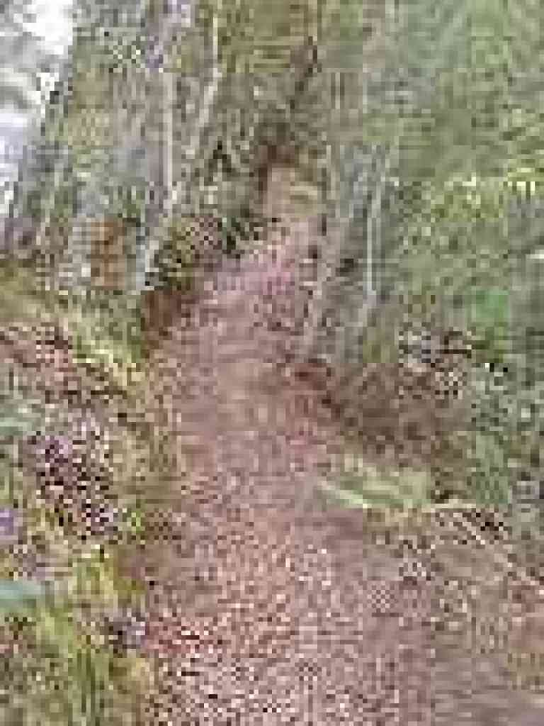 Contour Trail