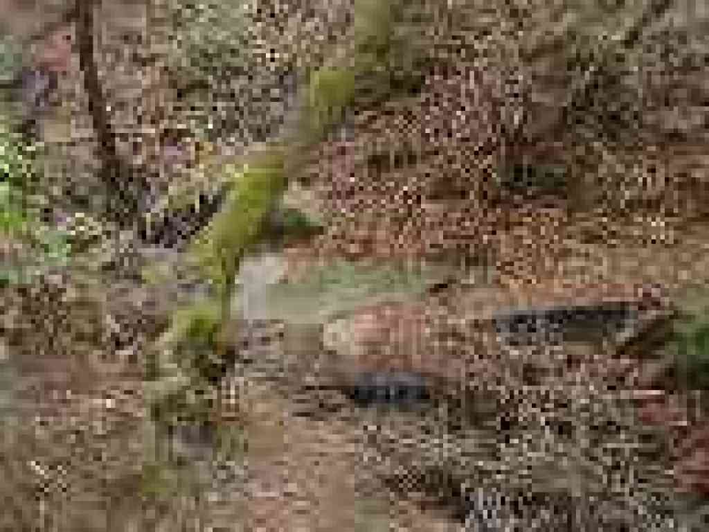 Another creek crossing