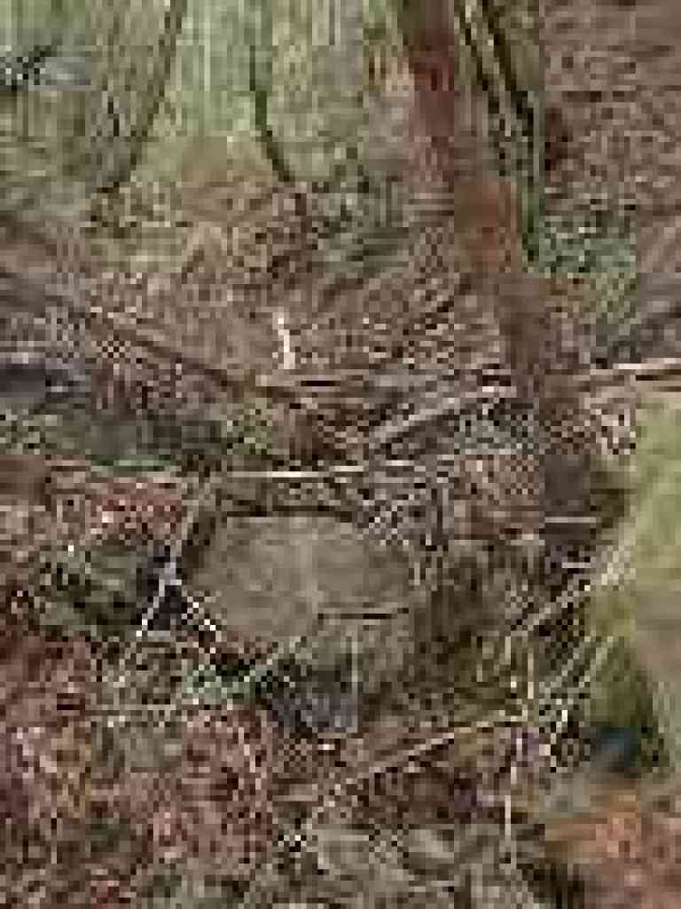 Creekbed