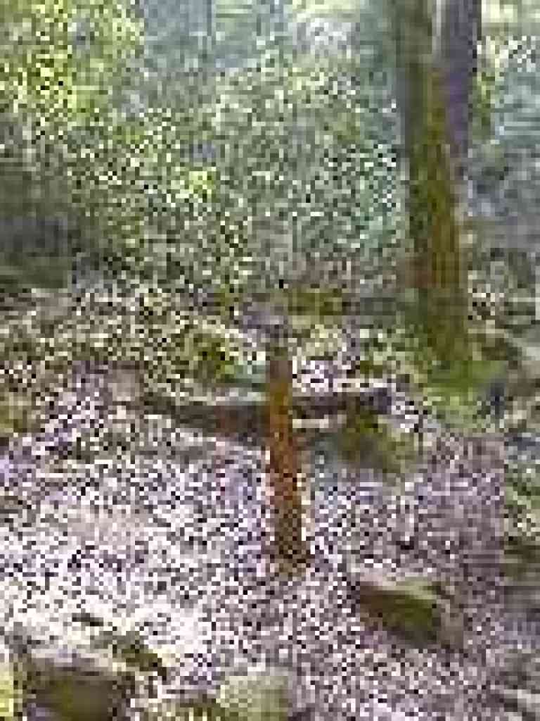 At the waterfall