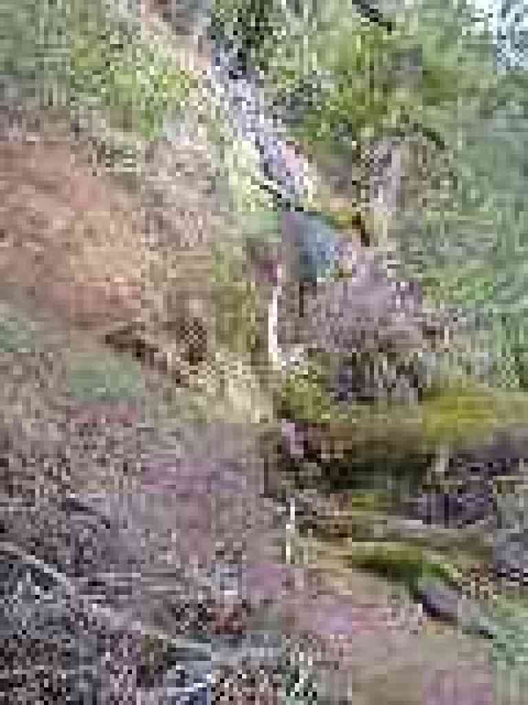 Around a landslide