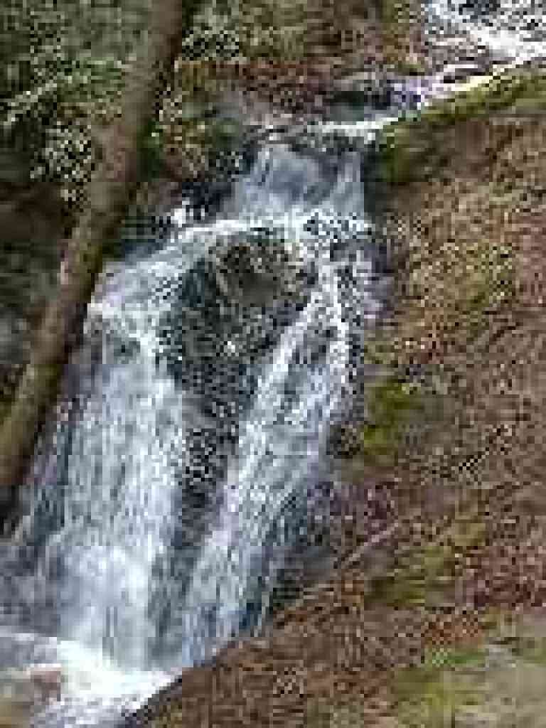 Falls