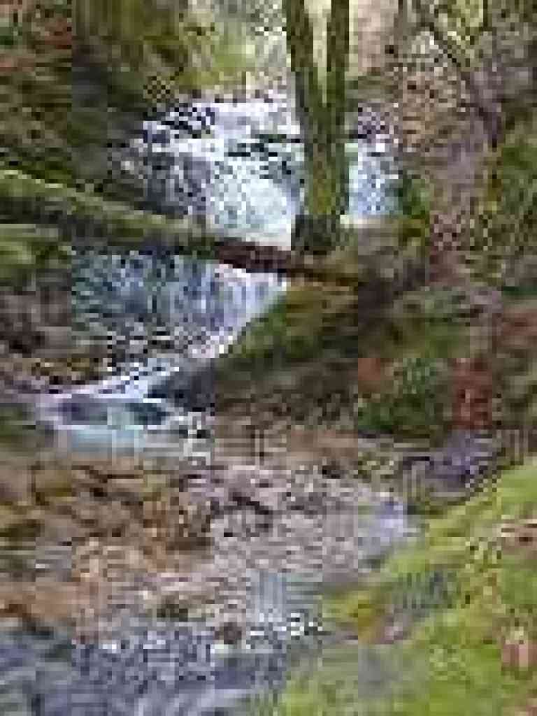 Falls