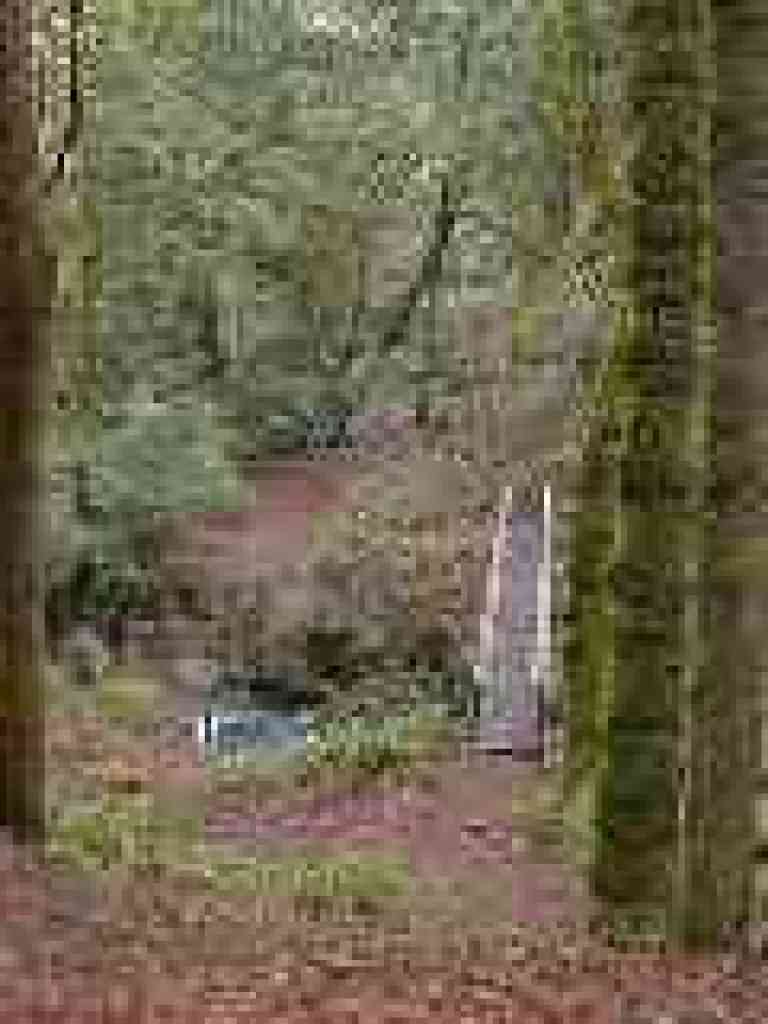 Bridge