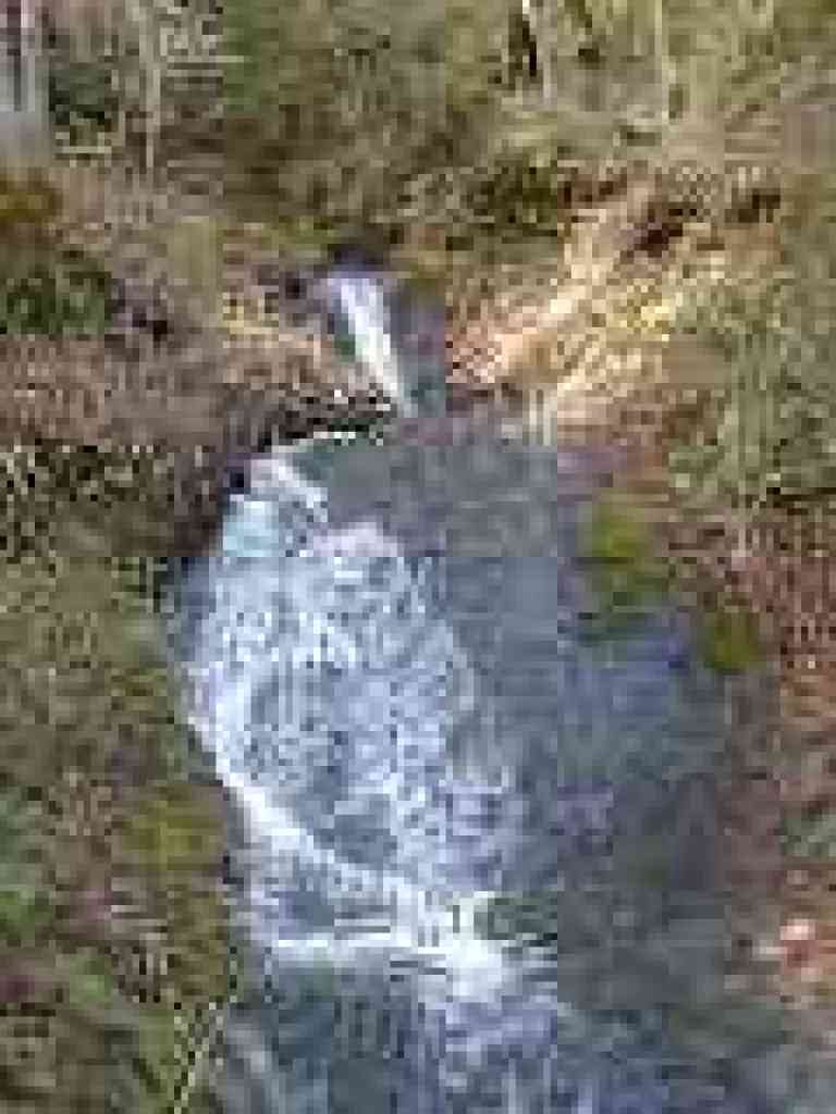 Falls