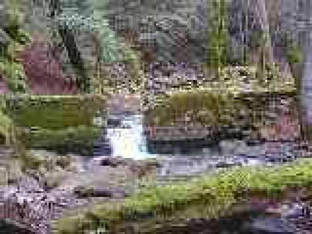 Creek