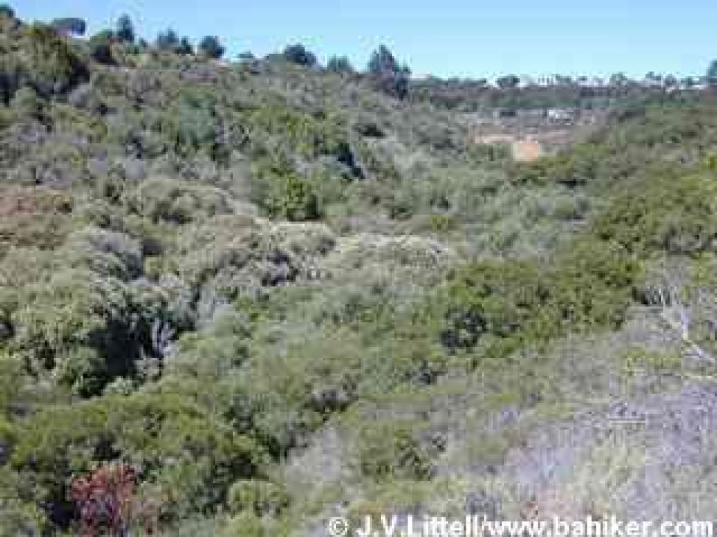 The canyon at Waterdog Lake Park
