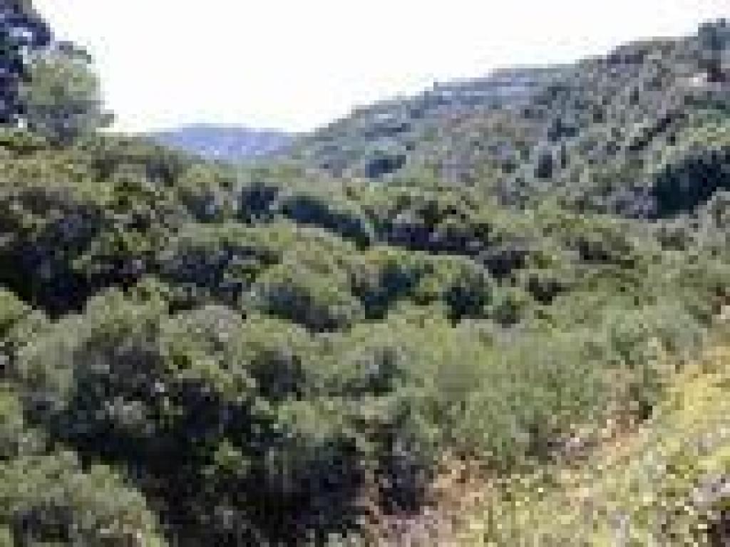 View out of the canyon