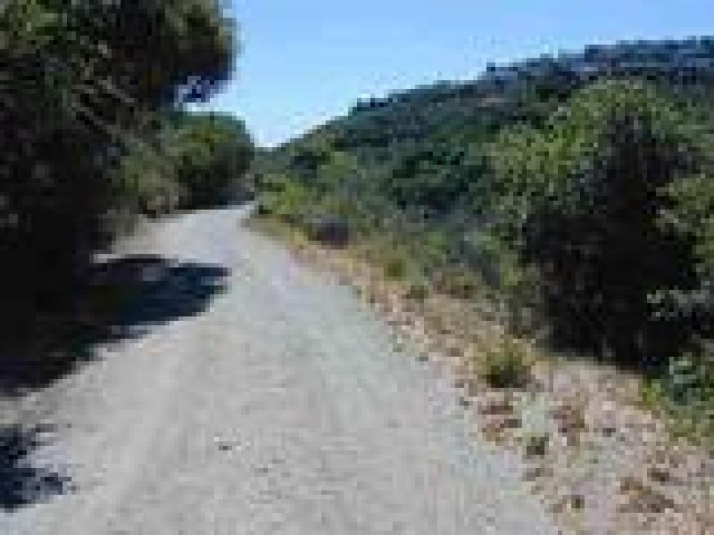 Trail