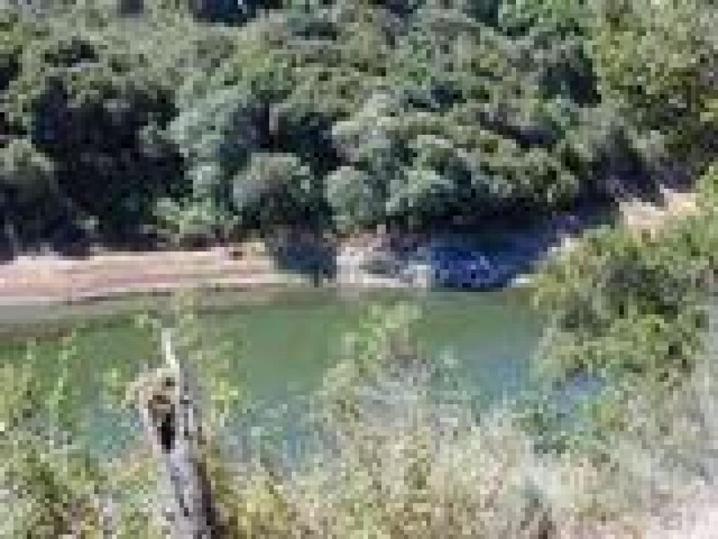 Glimpse of the lake