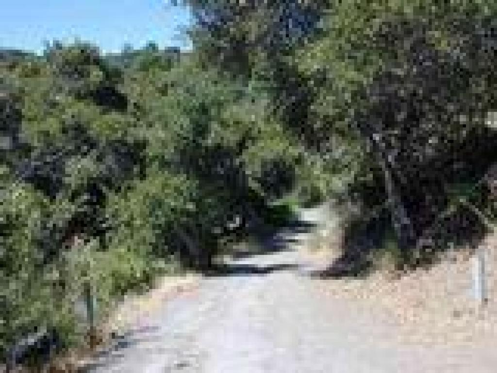 Trail down to the lake
