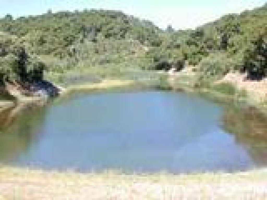 Waterdog Lake