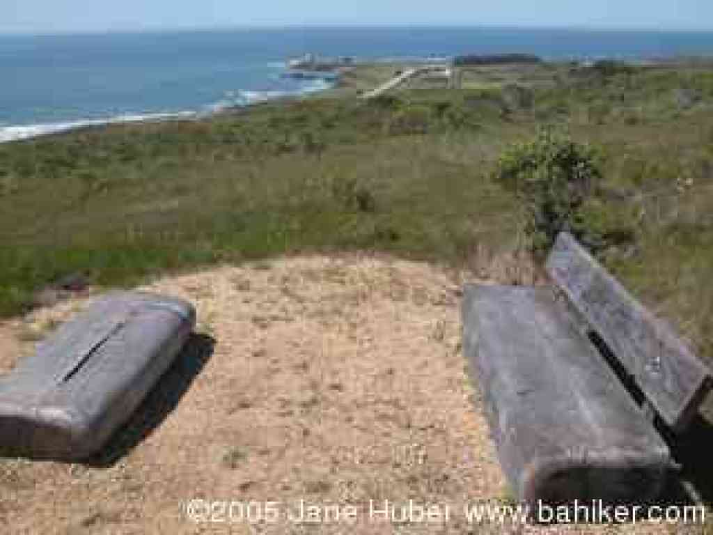 View from the end of the trail