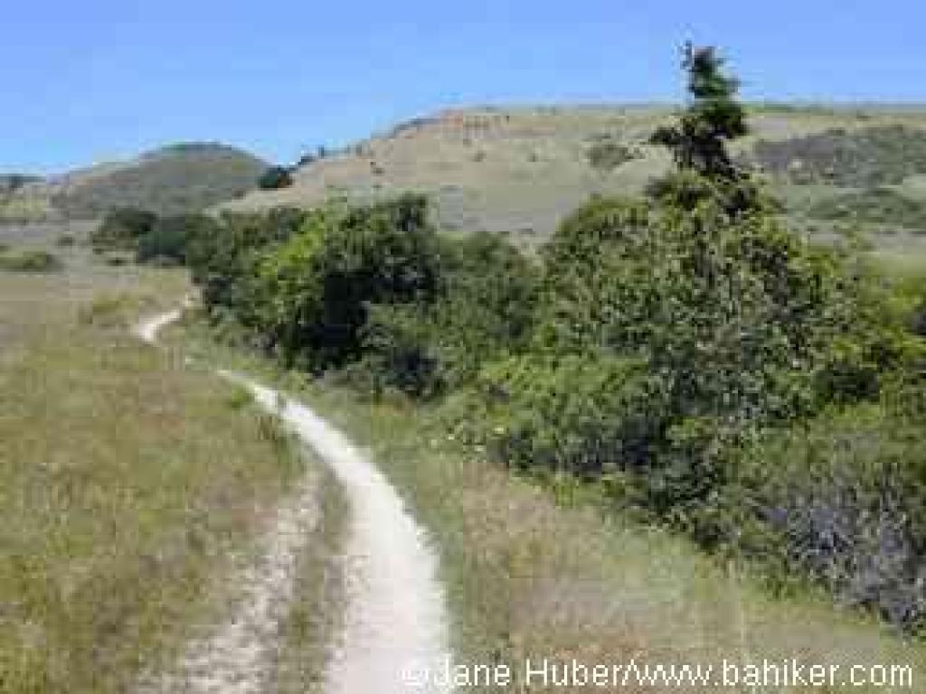 Wilder Ridge Loop Trail