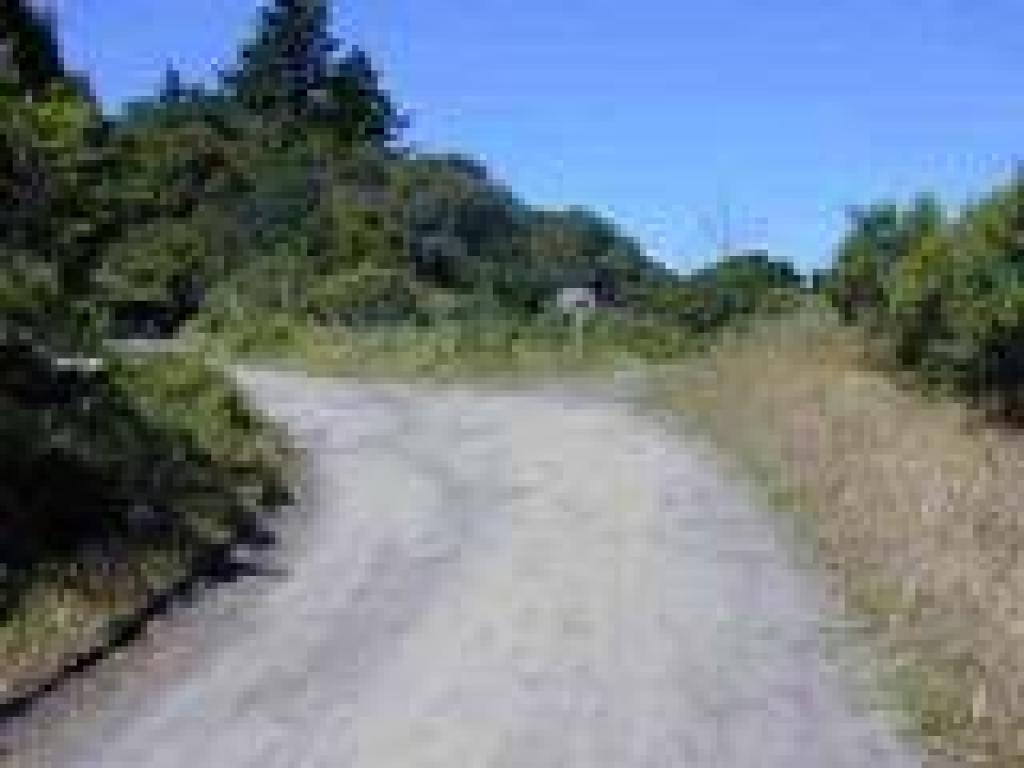 Junction