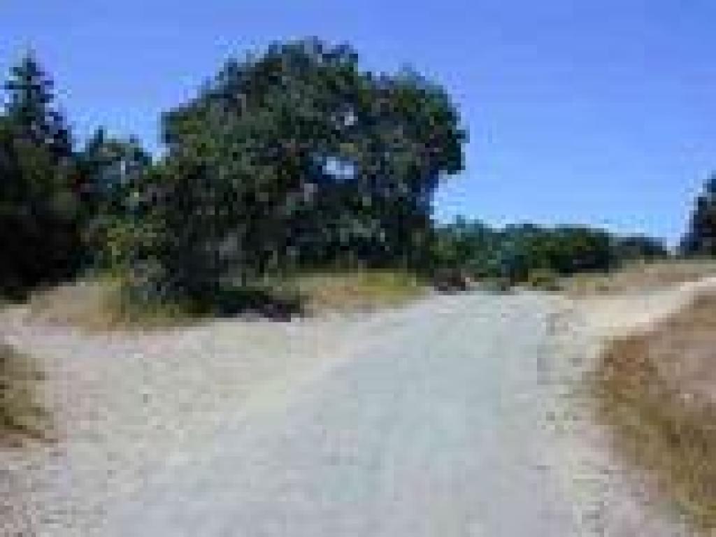 Turn left here