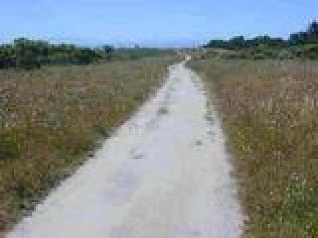 Wilder Ridge Loop Trail