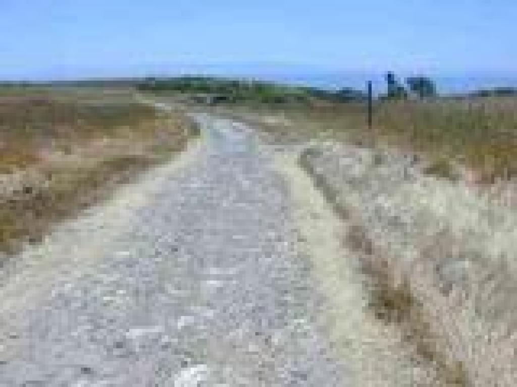 Junction