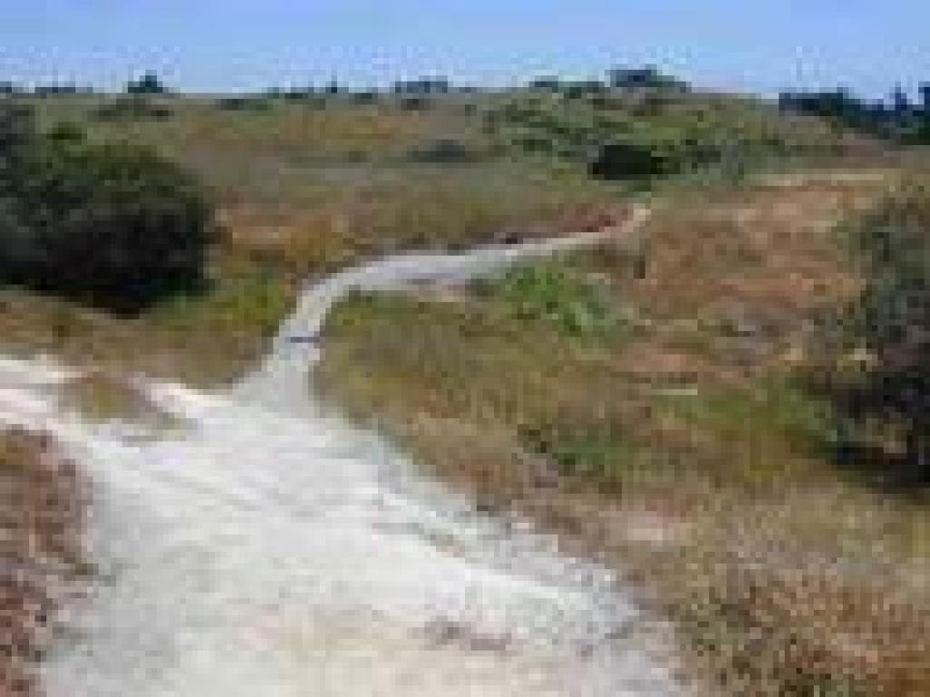 Wilder Ridge Loop Trail